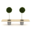 CGAxis Models Volume 21 Plants II - Image 16