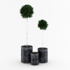 CGAxis Models Volume 21 Plants II - Image 15