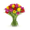 CGAxis Models Volume 21 Plants II - Image 12