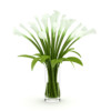 CGAxis Models Volume 21 Plants II - Image 10