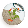 Small Spherical Aquarium - Image 3