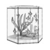 Hexagonal Aquarium - Image 2