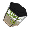 Hexagonal Aquarium - Image 3