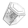 Hexagonal Aquarium - Image 4