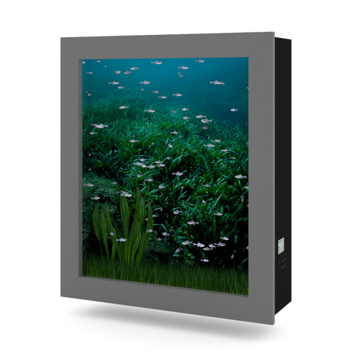 Wall-mounted Aquarium