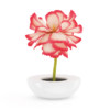CGAxis Models Volume 26 Flowers II - Image 2