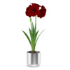 CGAxis Models Volume 26 Flowers II - Image 12