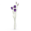 CGAxis Models Volume 26 Flowers II - Image 14