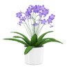 CGAxis Models Volume 26 Flowers II - Image 16