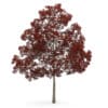 CGAxis Models Volume 28 Trees III - Image 3