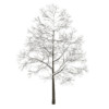 CGAxis Models Volume 28 Trees III - Image 4