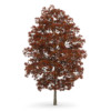CGAxis Models Volume 28 Trees III - Image 6