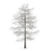 CGAxis Models Volume 28 Trees III - Image 10