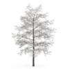 CGAxis Models Volume 28 Trees III - Image 13