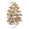 CGAxis Models Volume 28 Trees III - Image 15