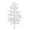 CGAxis Models Volume 28 Trees III - Image 16
