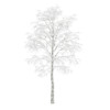 CGAxis Models Volume 28 Trees III - Image 27