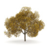 CGAxis Models Volume 28 Trees III - Image 17