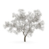 CGAxis Models Volume 28 Trees III - Image 18