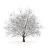 CGAxis Models Volume 28 Trees III - Image 21