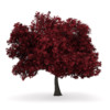 CGAxis Models Volume 34 Trees IV - Image 7