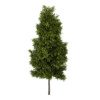 CGAxis Models Volume 34 Trees IV - Image 21