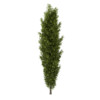 CGAxis Models Volume 34 Trees IV - Image 22