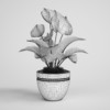 Tropical Plant in Pot 23 - Image 2