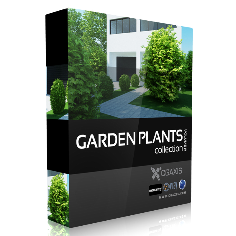 CGAxis Models Volume 19 Garden Plants