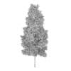 Poplar 1 (Populus)