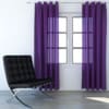 Violet Curtains