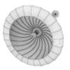 Ceiling Lamp 5