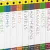 Encyclopedia 3