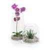 CGAxis Models Volume 50 3D Plants III - Image 15