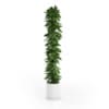 CGAxis Models Volume 50 3D Plants III - Image 24