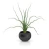 CGAxis Models Volume 50 3D Plants III - Image 28