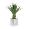 CGAxis Models Volume 50 3D Plants III - Image 3