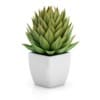 CGAxis Models Volume 50 3D Plants III - Image 4