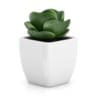 CGAxis Models Volume 50 3D Plants III - Image 5