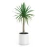 CGAxis Models Volume 50 3D Plants III - Image 6