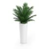 CGAxis Models Volume 50 3D Plants III - Image 11