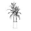 Bamboo Plant in Glass Pot
