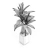 Bamboo Plant in Glass Pot