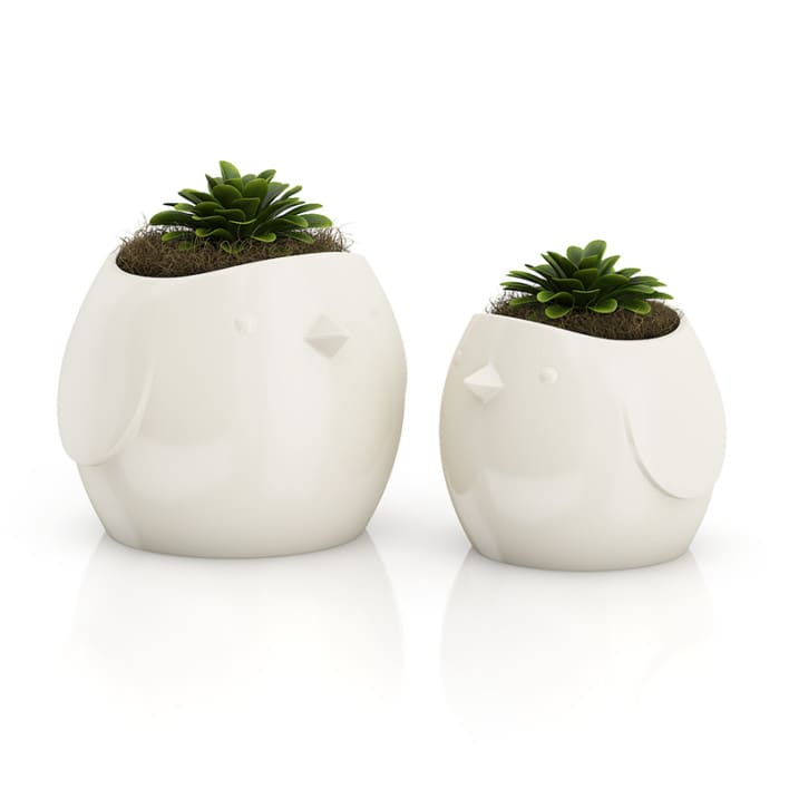 Two Plants in "Bird" Pots
