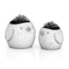 Two Plants in "Bird" Pots