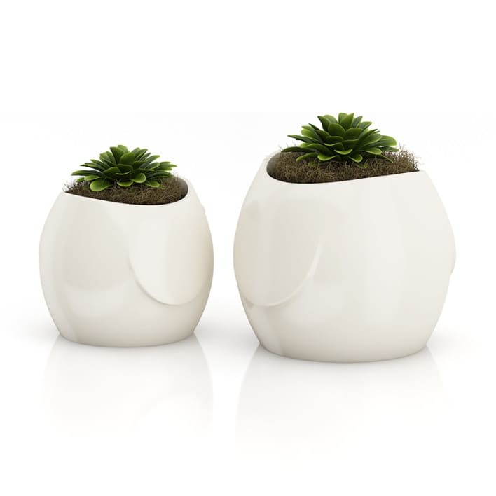 Two Plants in "Bird" Pots
