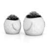 Two Plants in "Bird" Pots