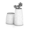 Orchid Flower in Glass Pot