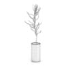 Plant in Glass Pot