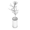 Plant in Glass Pot